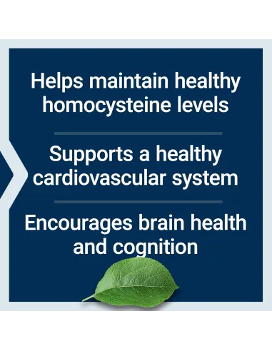 Homocysteine Resist - For Heart & Brain,...