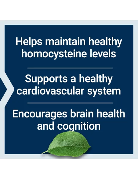 Homocysteine Resist - For Heart & Brain, Cognitive Health - 60 Vegetarian Capsules