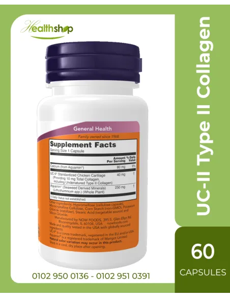 UC-II Type II Collagen - 60 Capsules