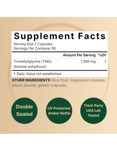 TMG Supplements 1500mg, 240 Capsules