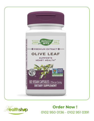 Olive Leaf Premium Extract - 60 Capsules