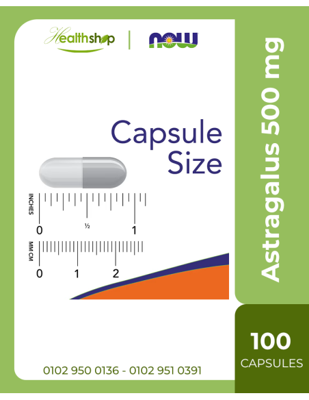 Astragalus 500 mg  -100 Veg Capsules