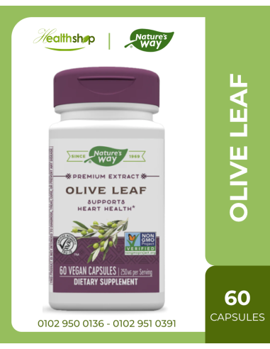 Olive Leaf Premium Extract - 60 Capsules