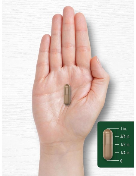 Olive Leaf Extract 9000mg - 100 Capsules