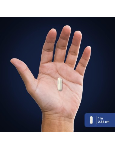 Ultra Quercetin + Zinc Complex 1100 mg - 60...
