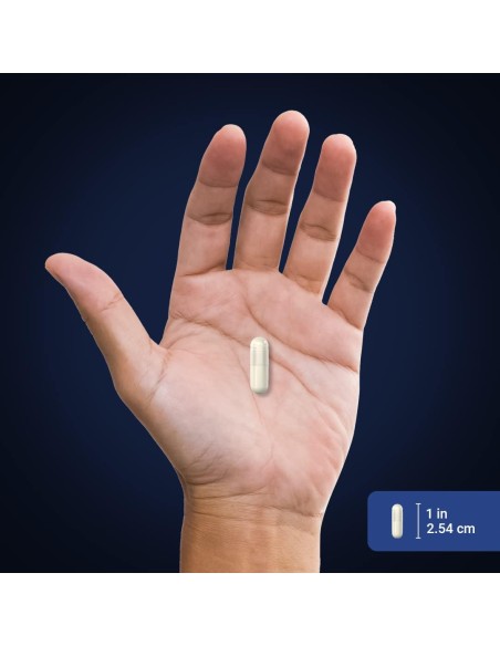 Ultra Quercetin + Zinc Complex 1100 mg - 60 Capsules
