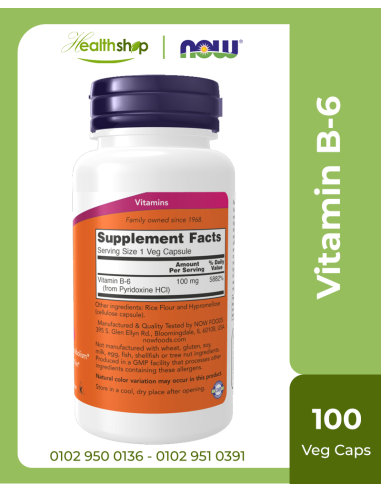 Vitamin B-6 100 mg -100 Veg Capsules
