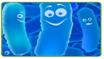 اهمية البروبيوتك (البكتيريا صديقة المعدة )   